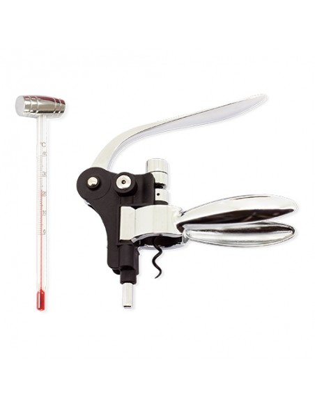 SET PROFESIONAL DE BAMBÚ 10PCS